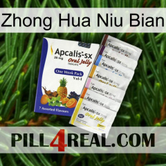 Zhong Hua Niu Bian 11
